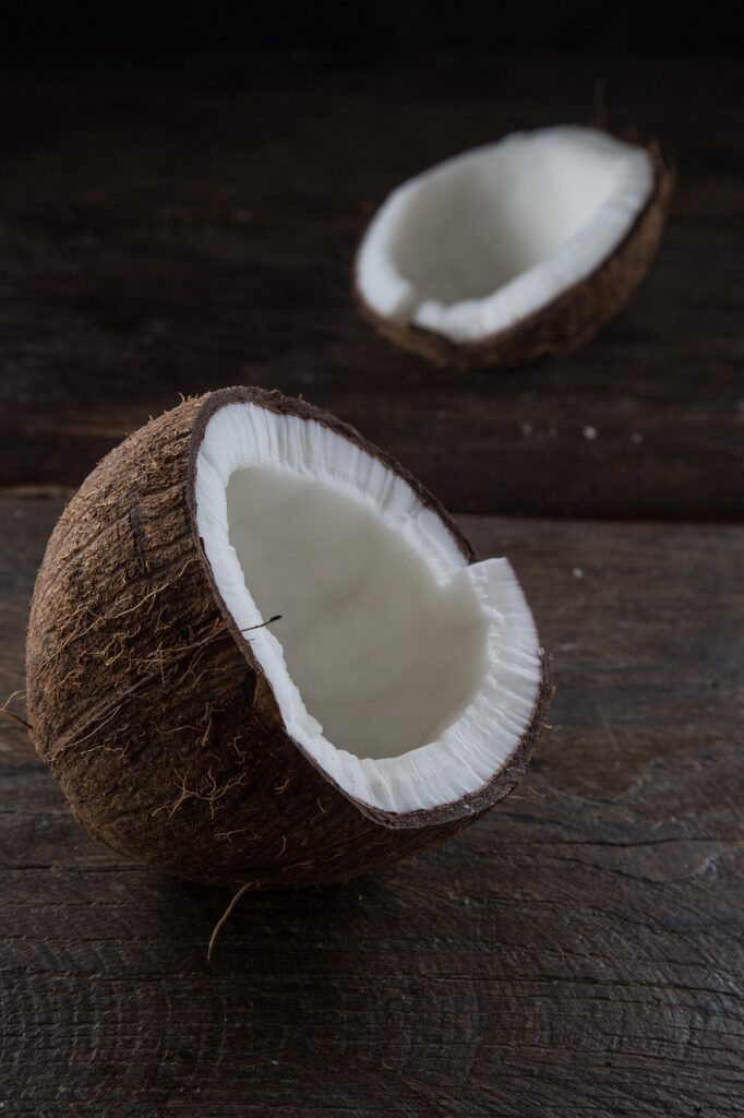 Coconut Definition
