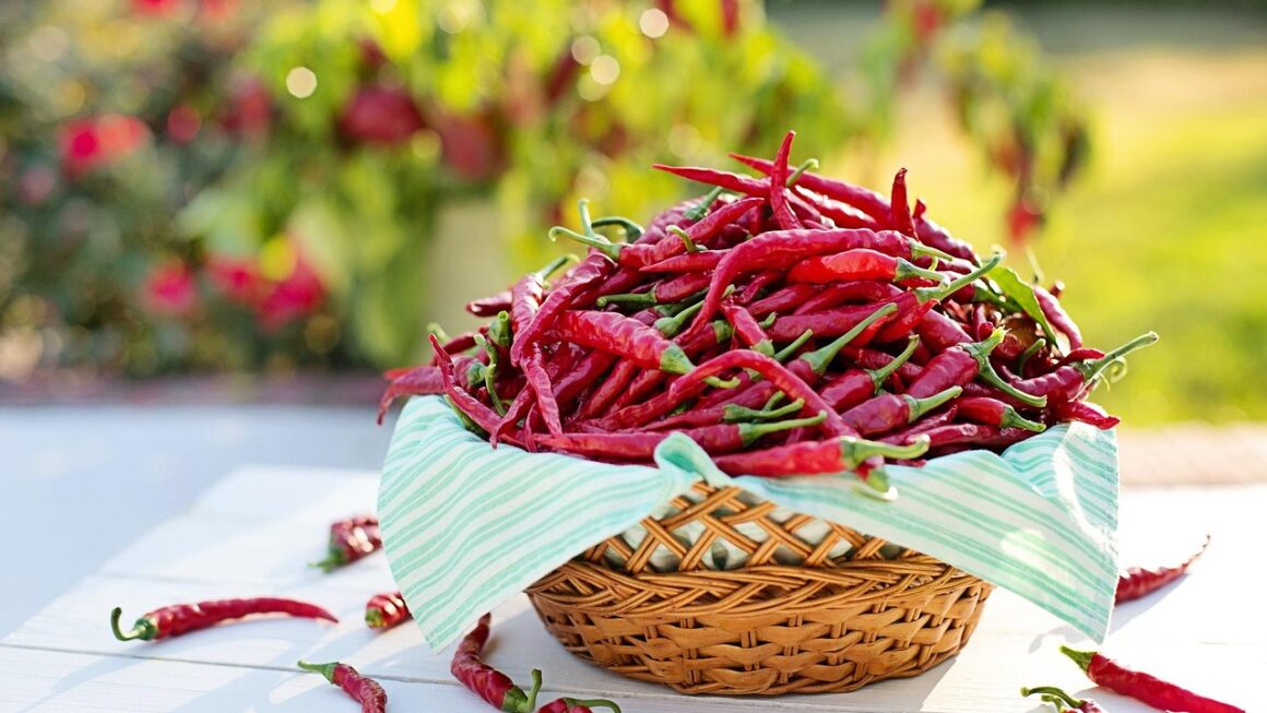 The Meaning of Red Chili Powder | Definition of Red Chili Powder