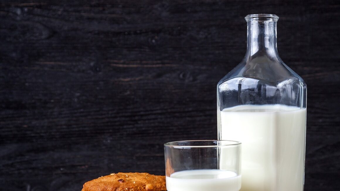 The Meaning of Milk | Definition of Milk