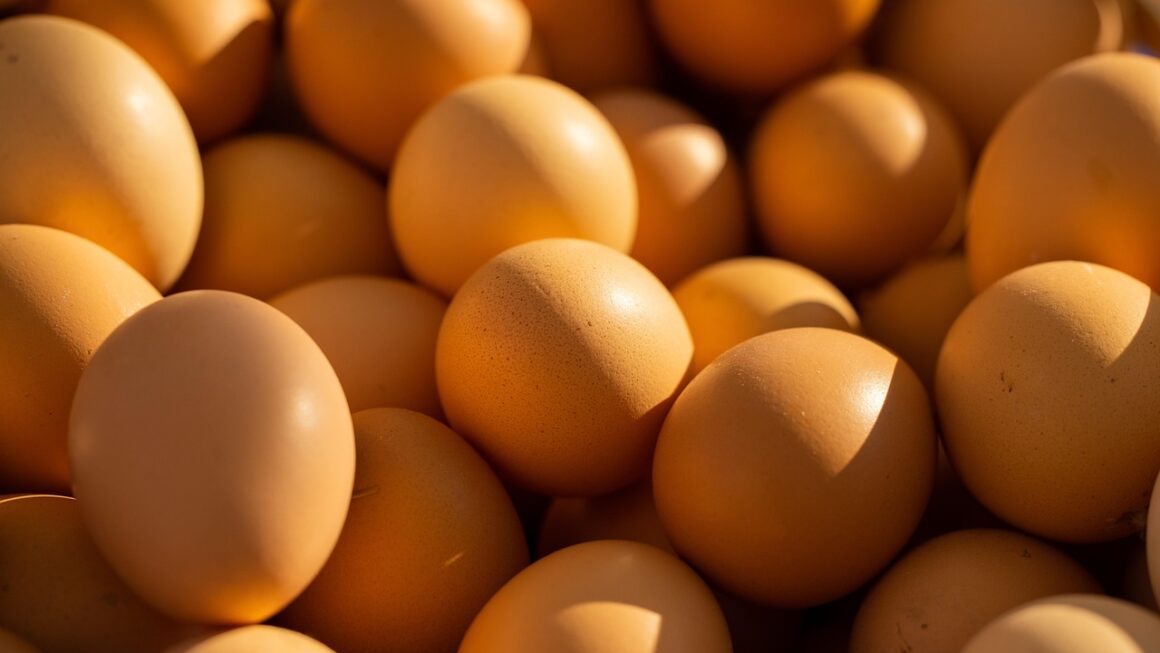 The Meaning of Egg | Definition of Egg