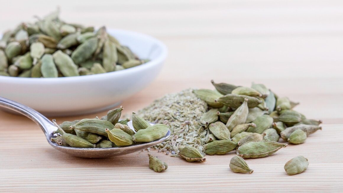 The Meaning of Cardamom | Definition of Cardamom